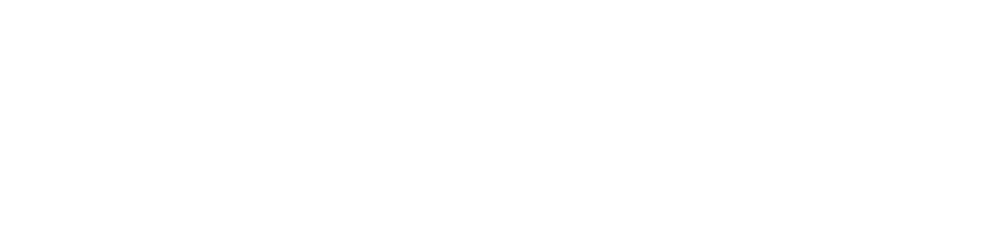 Wolt