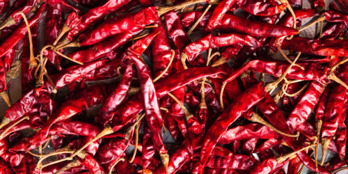 Hot-News